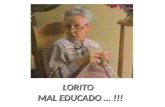 Lorito (1)