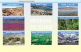 Los Biomas de Chile.