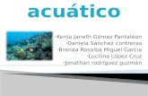 Bioma acuatico