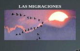 Las migraciones