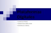 Plataformas Digitales Nacho Pelao