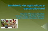 Sector agropecuario en Colombia