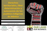 La defensa de territorios indigenas en tiempos de reformas energeticas en Mexico