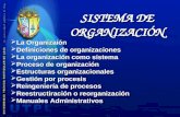 Sistema de Organización