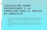 Subvenciones formacion para el  empleo en andalucia