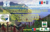 Conservación de recursos fitogenéticos en Chile. Caso de Estudio Archipiélago Juan Fernández 2