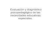evaluación y necesidades educativas especiales