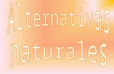 Terapias alternativas ( flores de bach, alternativas naturales para la depresion y remedios naturales para la piel) por marina avalo y mª carmen gomez