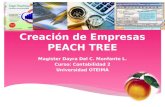 Creación de empresas peach tree