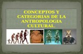 conceptos y categorias de la antropologia