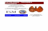 Compendio de Patología Tiroidea