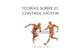 Teorias Sobre El Control Motor