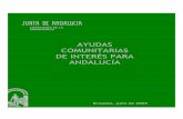 19799740 Ayudas Comunitarias de Interes Para Andalucia