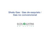 Shale gas presentacion