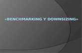 Benchmarking  y Downsizing