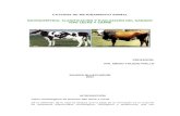 59836200 Evaluacion Bovino Tipo Leche y Carne