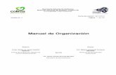 Trabajo Registro Publico de La Propiedad Colima Manual-Organizacion-rppc