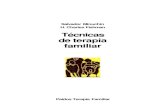 126308020 Tecnicas de Terapia Familiar Salvador Minuchin PDF