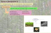 Tema 9. BIOSFERA II 1. Componentes de un ecosistema. Interrelaciones relación entre la actividad vital y el medio físico. Ecosistema Productores Autótrofos.