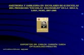 AMETROPIA Y AMBLIOPIA EN ESCOLARES DE 42 ESCUELAS DEL PROGRAMA ESCUELAS SALUDABLES EN LA DISA II, LIMA. PERU, 2007-2008 ACTA MEDICA PERUANA 26(1) 2009.