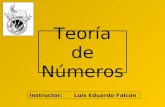 Teoría de Números Instructor: Luis Eduardo Falcón.