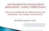 MC&A - Miguel Casal & Asociados - Auditores & Consultores