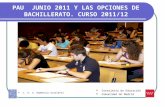 PAU JUNIO 2011 Y LAS OPCIONES DE BACHILLERATO. CURSO 2011/12 Consejería de Educación Comunidad de Madrid I. E. S. Domenico Scarlatti
