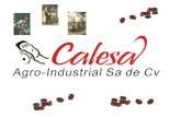 La Empresa CALESA® Agro-Industrial Sa de Cv es creada en el año 2000, montando una planta tostadora de café con la tecnología mas avanzada en el procesamiento.