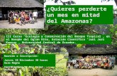 ¿Quieres perderte un mes en mitad del Amazonas? III Curso Ecología y Conservación del Bosque Tropical, en el Bosque del Oglán Alto, Estación Científica.