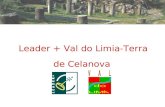 Leader + Val do Limia- Terra de Celanova. LEADER + VAL DO LIMIA-TERRA DE CELANOVA Territorio El territorio de actuación está situado al suroeste de la.