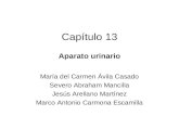Capítulo 13 Aparato urinario María del Carmen Ávila Casado Severo Abraham Mancilla Jesús Arellano Martínez Marco Antonio Carmona Escamilla.