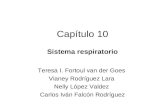 Capítulo 10 Sistema respiratorio Teresa I. Fortoul van der Goes Vianey Rodríguez Lara Nelly López Valdez Carlos Iván Falcón Rodríguez.
