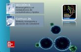 SECCIÓN II. Bioenergética y el metabolismo de carbohidratos y lípidos C APÍTULO 26. Síntesis, transporte y excreción de colesterol.
