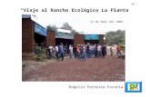 Viaje al Rancho Ecológico La Planta Rogelio Ferreira Escutia 12 de mayo del 2007.
