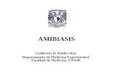 AMIBIASIS Guillermo B. Robles Díaz Departamento de Medicina Experimental. Facultad de Medicina, UNAM.