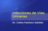 Infecciones de Vías Urinarias Dr. Carlos Pacheco Gahbler.