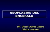 NEOPLASIAS DEL ENCEFALO DR. Oscar Quiroz Castro Clínica Londres.