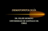 DEMATOPATOLOGÍA DR. FELIPE MORENO UNIVERSIDAD DE SANTIAGO DE CHILE.