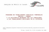 PROGRAMA DE TRABAJADORES AGRICOLAS TEMPORALES MEXICO – CANADA Y LA ASISTENCIA BRINDADA POR LOS CONSULADOS A LOS TRABAJADORES MEXICANOS EN EL EXTERIOR Taller.