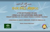 DIA DEL ÁRBOL 25 DE NOVIEMBRE DE 2004 CANILLAS DE ACEITUNO (MÁLAGA) PARQUE NATURAL DE LAS SIERRAS TEJEDA, ALMIJARA Y ALHAMA CONSEJERIA DE MEDIO AMBIENTE.