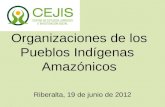 Organizaciones de los Pueblos Indígenas Amazónicos Riberalta, 19 de junio de 2012.