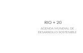 AGENDA MUNDIAL DE DESARROLLO SOSTENIBLE RIO + 20.