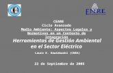 Herramientas de Gestión Ambiental en el Sector Eléctrico Laura E. Dawidowski (CNEA) 22 de Septiembre de 2005 CEARE Ciclo Avanzado Medio Ambiente: Aspectos.