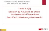 1 Tema 2.1(b) Sección 12 Asuntos de Otros Instrumentos Financieros Sección 22 Pasivos y Patrimonio Fundación IFRS-Banco Mundial Las NIIF para las PYMES.