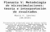 Plenaria V: Metodología de microsimulaciones: teoría e interpretación de resultados Marco V. Sánchez (UN-DESA) Presentación elaborada para el tercer taller.