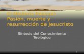 1 El Misterio Pascual: Pasión, muerte y resurrección de Jesucristo Síntesis del Conocimiento Teológico.