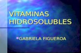 VITAMINAS HIDROSOLUBLES GABRIELA FIGUEROA GABRIELA FIGUEROA.