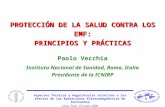 Aspectos Técnicos y Regulatorios relativos a los efectos de las Radiaciones Electromagnéticas No Ionizantes Lima, Perú, 19 junio 2006 PROTECCIÓN DE LA.