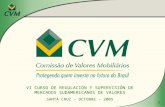 1 VI CURSO DE REGULACIÓN Y SUPERVISIÓN DE MERCADOS SUDAMERICANOS DE VALORES SANTA CRUZ - OCTOBRE - 2005.