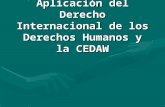 Aplicación del Derecho Internacional de los Derechos Humanos y la CEDAW.